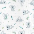 koala1.jpg