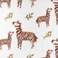 zebra1.jpg